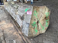 Iepen 950-670 mm inhoud 1,24 m3 boomstam - afbeelding 1 van  7