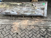 Iepen 950-670 mm inhoud 1,24 m3 boomstam - afbeelding 2 van  7