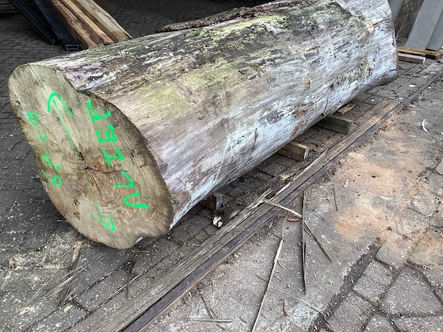 Iepen 950-670 mm inhoud 1,24 m3 boomstam - afbeelding 3 van  7