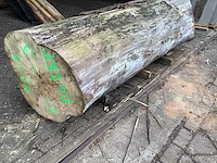 Iepen 950-670 mm inhoud 1,24 m3 boomstam - afbeelding 3 van  7