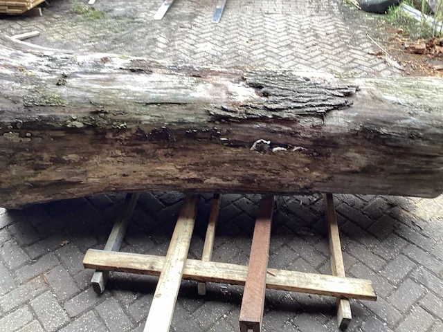 Iepen 950-670 mm inhoud 1,24 m3 boomstam - afbeelding 6 van  7