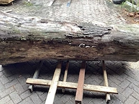 Iepen 950-670 mm inhoud 1,24 m3 boomstam - afbeelding 6 van  7