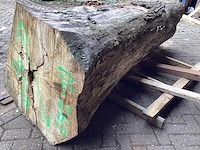 Iepen 950-670 mm inhoud 1,24 m3 boomstam - afbeelding 7 van  7