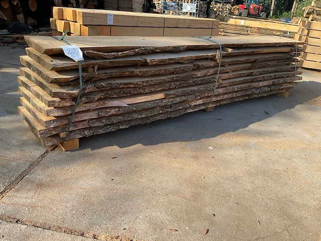 Iepen stam 30 mm ca. 0,275 m³ - afbeelding 1 van  5