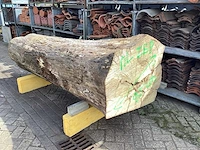 Iepen stam - afbeelding 1 van  5
