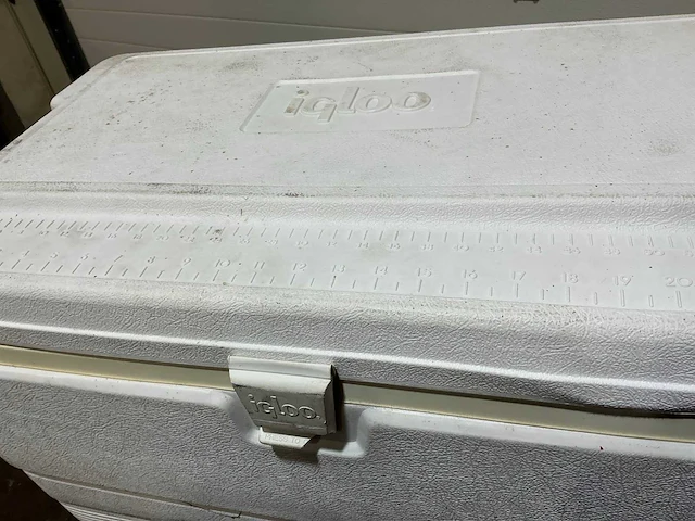 Igloo marine 72 koelbox (2x) - afbeelding 6 van  7