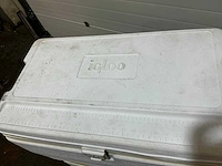 Igloo marine 72 koelbox (2x) - afbeelding 7 van  7