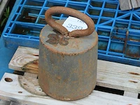 Ijkgewicht 25 kg - afbeelding 2 van  2