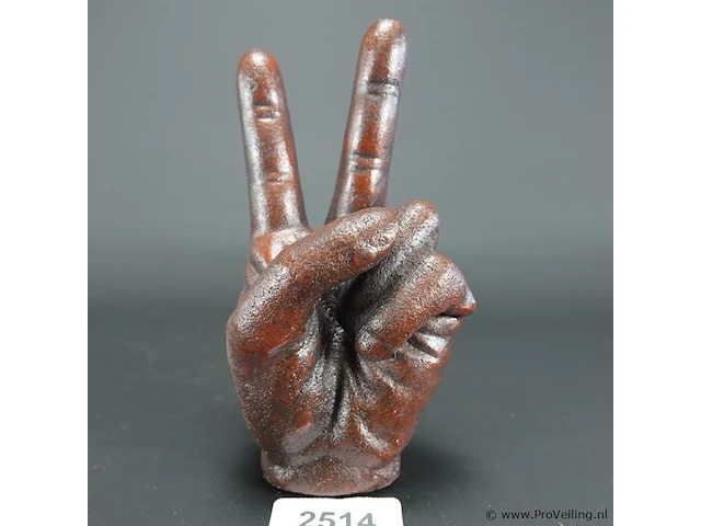 Ijzeren hand - afbeelding 1 van  5