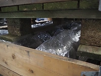 Ilapak - afbeelding 15 van  27