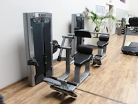 Impulse exo|form back entension let op onderdeel combinatiekavel f041 onderdeel van combinatiekavel combinatie van 13 impulse exo|form fitness apparatenkavels kavels f028 t/m f040 - afbeelding 2 van  3