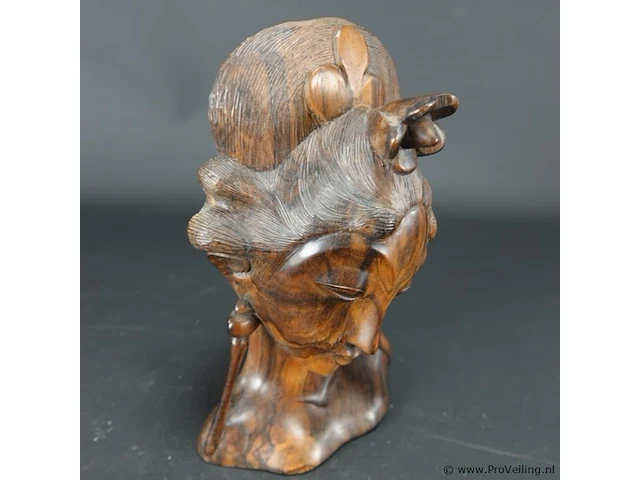 In coromandelhout gesneden indische buste - afbeelding 2 van  5