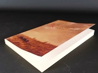 In de wereld van de kunsthandel - afbeelding 5 van  5