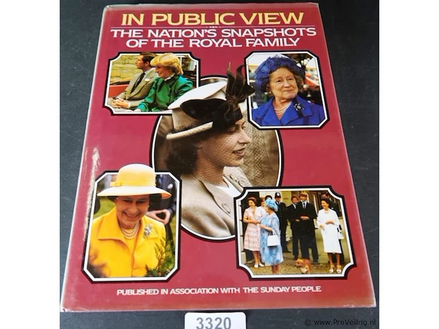 In public view - afbeelding 1 van  5