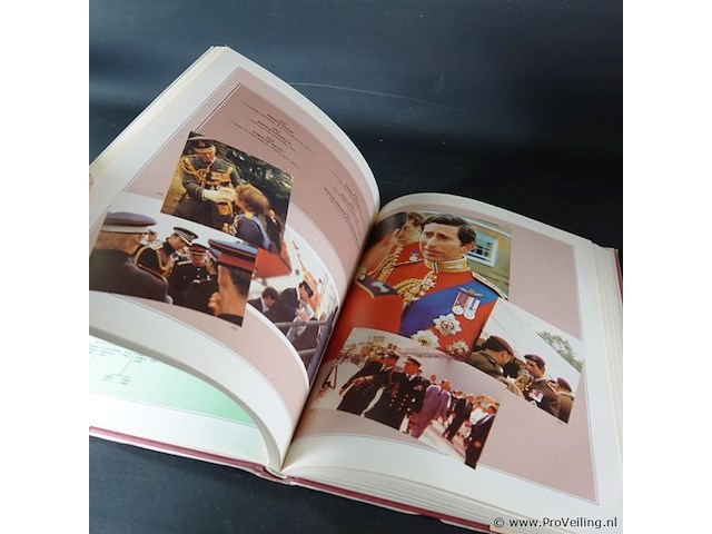 In public view - afbeelding 5 van  5