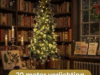Indoor/outdoor kerstverlichting 20meter - afbeelding 2 van  3