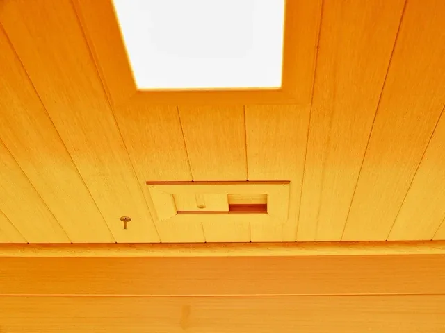 Infrarood sauna - afbeelding 4 van  38