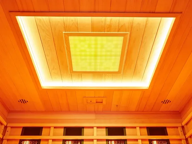 Infrarood sauna - afbeelding 8 van  36