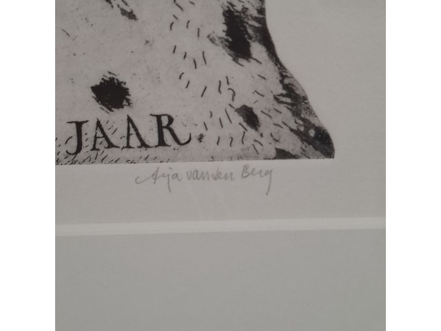 Ingelijst drukwerk, arja van den berg , lana vijf jaar 16/20 - afbeelding 4 van  9