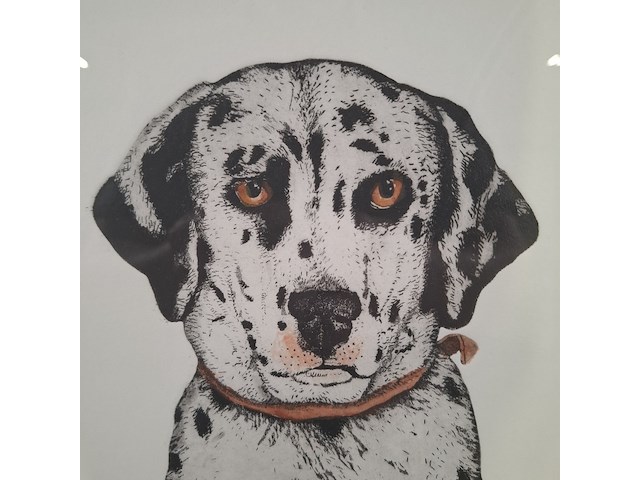 Ingelijst drukwerk, arja van den berg , lana vijf jaar 16/20 - afbeelding 6 van  9