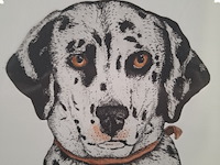 Ingelijst drukwerk, arja van den berg , lana vijf jaar 16/20 - afbeelding 6 van  9