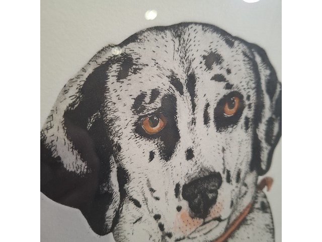 Ingelijst drukwerk, arja van den berg , lana vijf jaar 16/20 - afbeelding 7 van  9