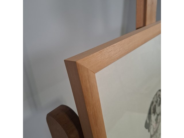 Ingelijst drukwerk, arja van den berg , lana vijf jaar 16/20 - afbeelding 8 van  9