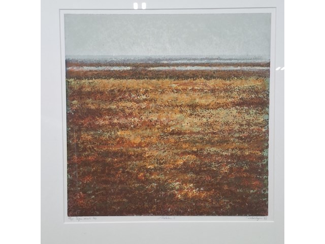 Ingelijst drukwerk, h. d'olieslager, slikken i - 29/45, 1997 - afbeelding 2 van  9