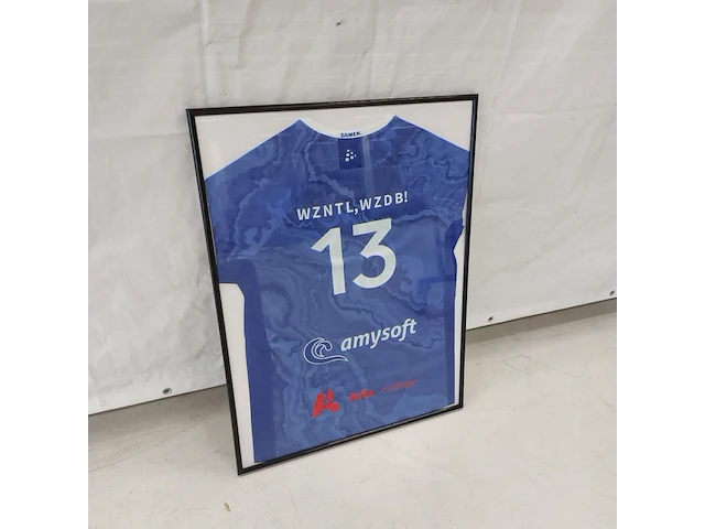 Ingelijst volleybalshirt " lycurgus " - afbeelding 1 van  9
