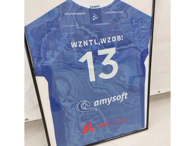 Ingelijst volleybalshirt " lycurgus " - afbeelding 3 van  9