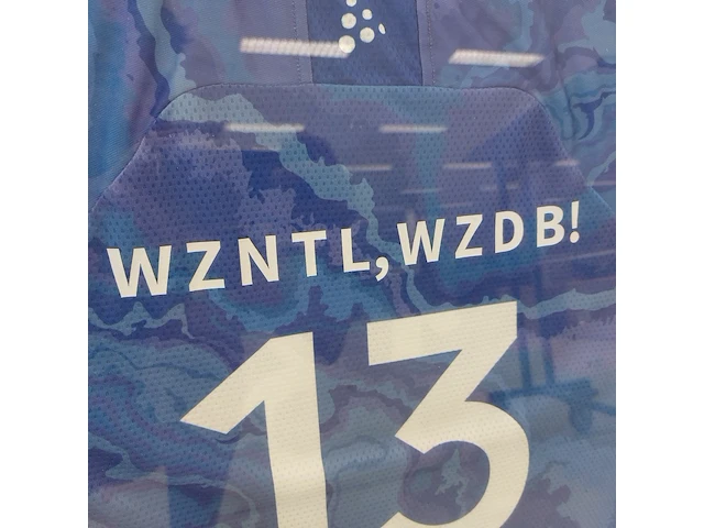 Ingelijst volleybalshirt " lycurgus " - afbeelding 5 van  9