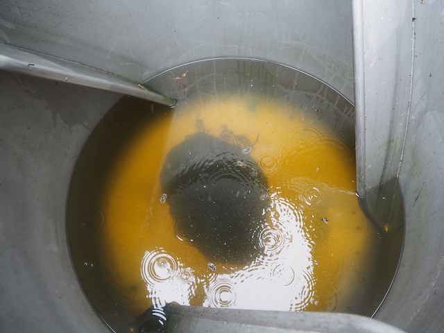 Inject star - afbeelding 6 van  6