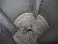 Inject star - afbeelding 7 van  9