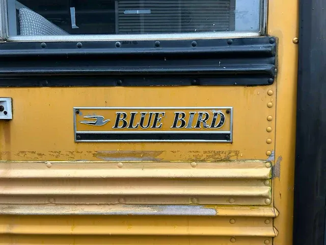 International bus - afbeelding 27 van  27