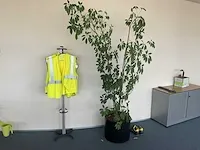 Inventaris kantoor - afbeelding 9 van  12