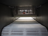 Inwestpol - afbeelding 5 van  17