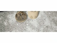 Iris venice villa grey naturale mat vloertegel 60x60 cm 92,16 m² - afbeelding 2 van  2