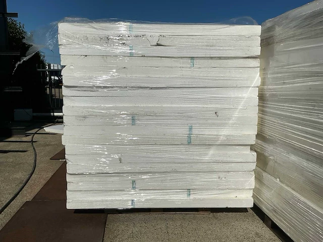 Isolatie (20x) - afbeelding 2 van  6