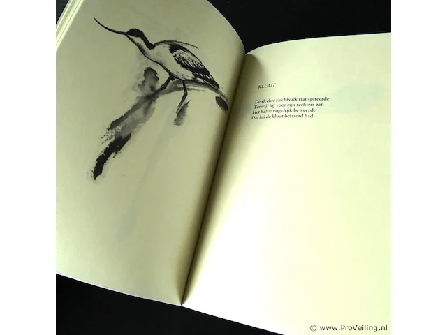 Ivo de wijs. vroege vogels vliegen - afbeelding 5 van  5