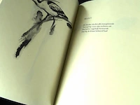 Ivo de wijs. vroege vogels vliegen - afbeelding 5 van  5