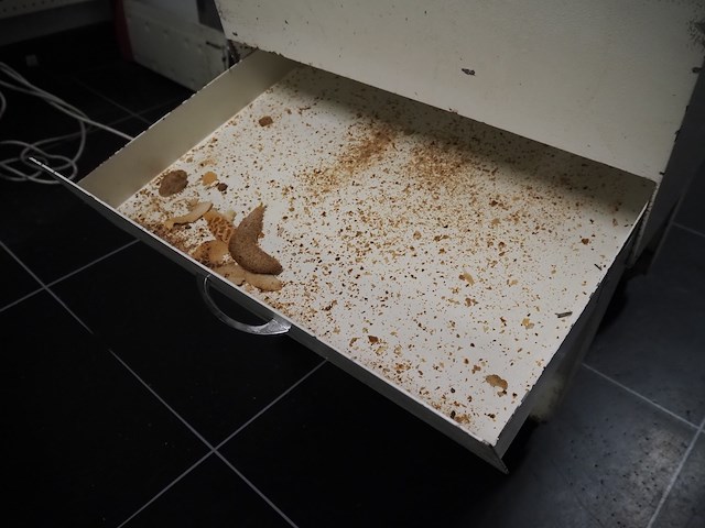 Jac - afbeelding 7 van  8