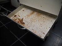 Jac - afbeelding 7 van  8