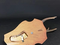 Jachttrofee hertengewei met schedel op houten schild - afbeelding 5 van  5