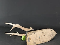 Jachttrofee hertengewei met schedel op houten schild - afbeelding 5 van  5