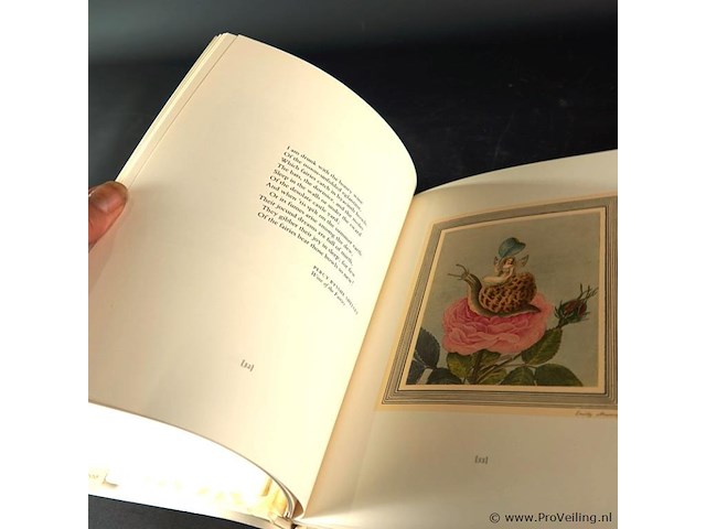 Jaery bower - afbeelding 4 van  4