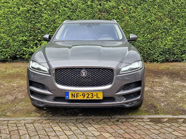 Jaguar - f-pace - 2.0 portf. awd 20d - nf-923-l - 2016 - afbeelding 12 van  21
