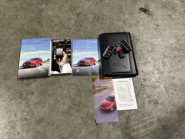 Jaguar f-pace 2.0 portfolio awd 20d 179pk 2017, nl-229-d - afbeelding 41 van  46