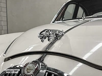 Jaguar mkii 3.8 liter saloon 220pk 1961 mk2, dl-36-65 - afbeelding 52 van  53