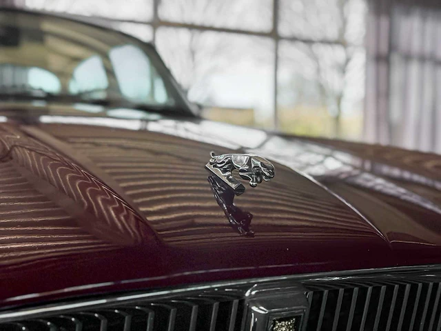 Jaguar xj12 5.3 v12 serie 1 265pk 1973 - afbeelding 2 van  48