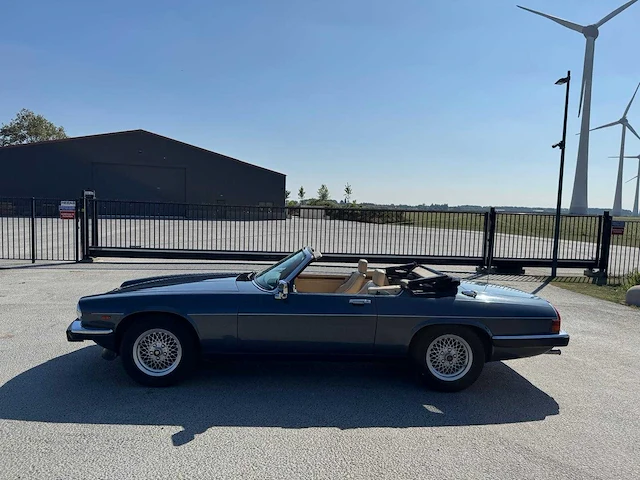 Jaguar xjs 5.3 v12 convertible 1e eigenaar 1702 - afbeelding 16 van  40